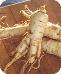 Chinese Ginseng Protoflow ingredient for stamina strength energy and vitality support